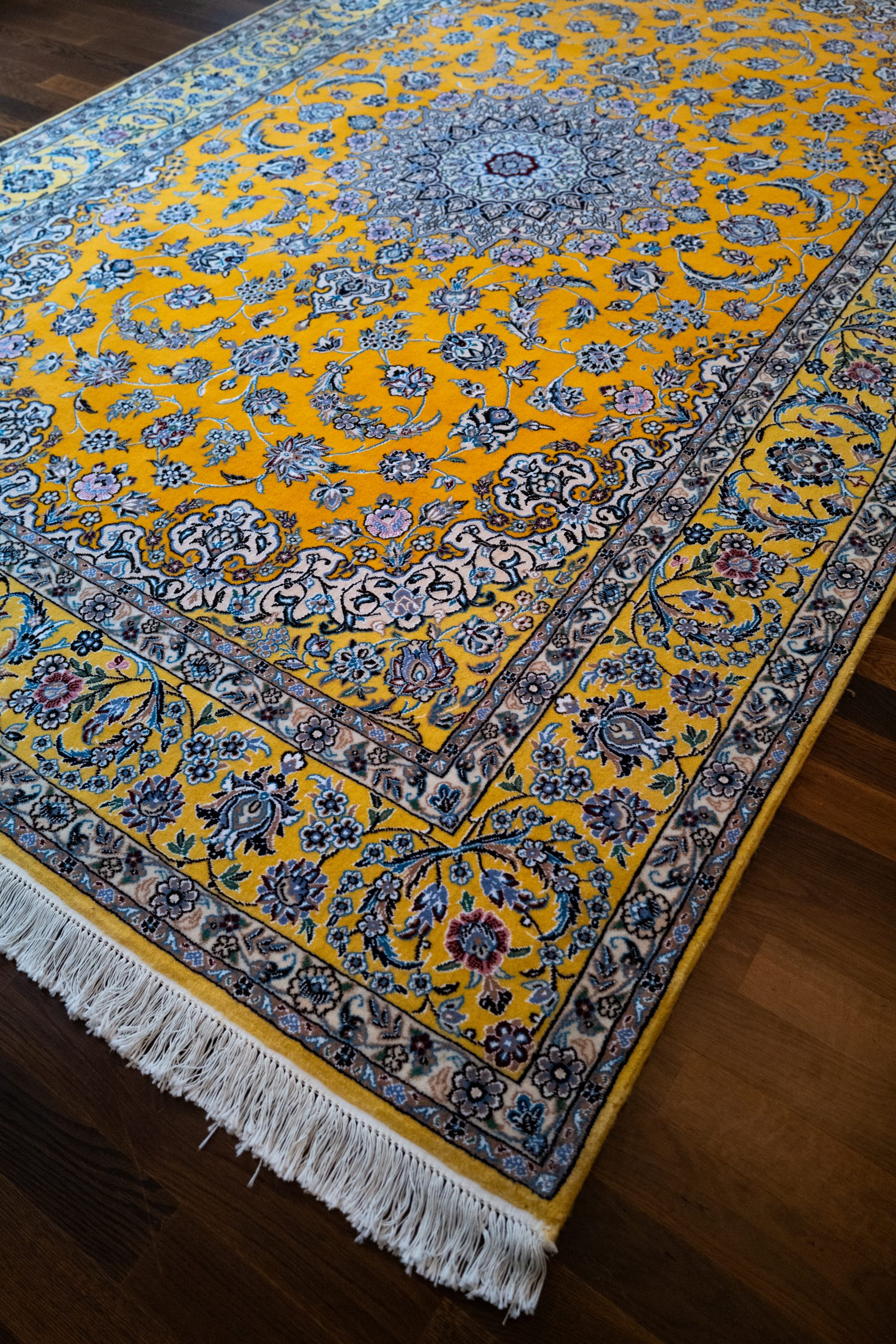 NAIN Teppich-BIJAN 300×200 cm