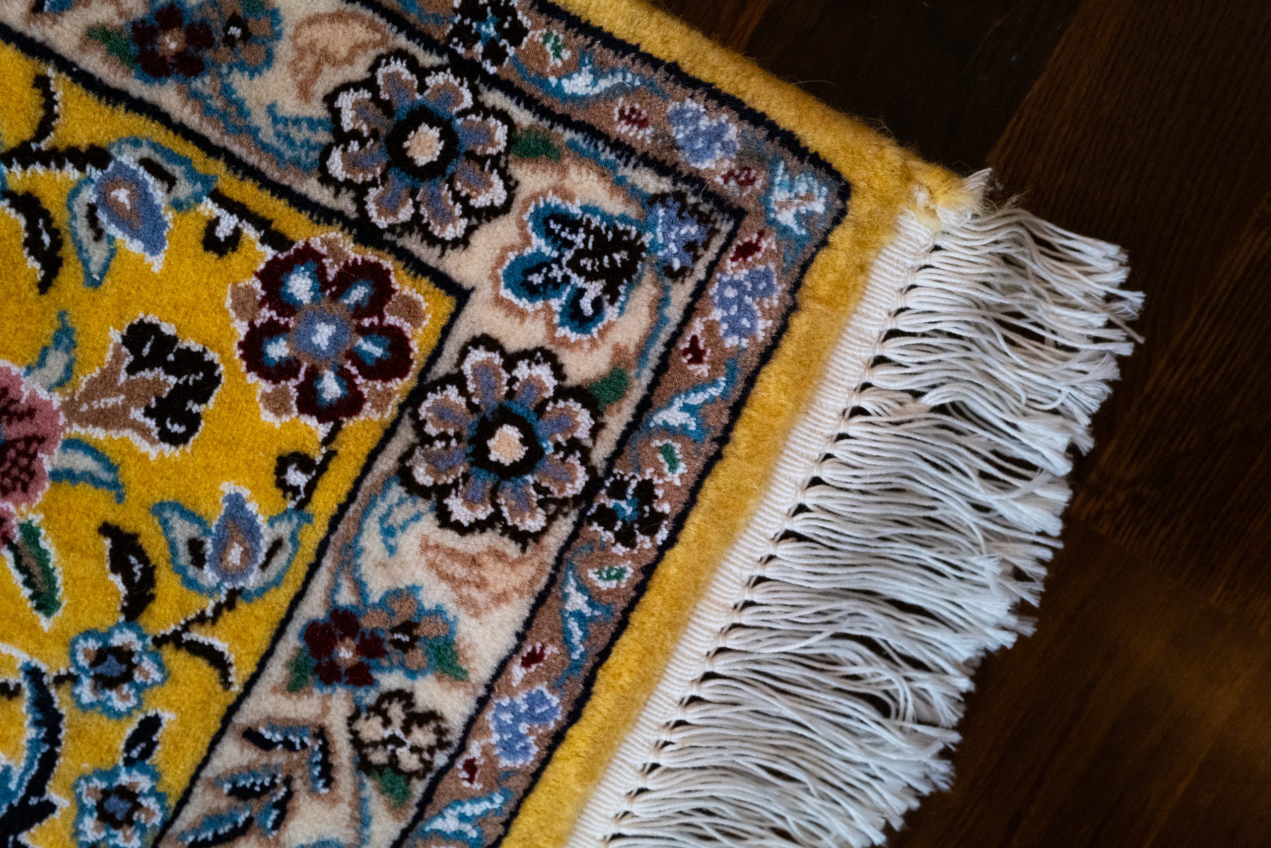 NAIN Teppich-BIJAN 300×200 cm